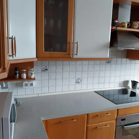 Apartment Katrin Zirovnica
